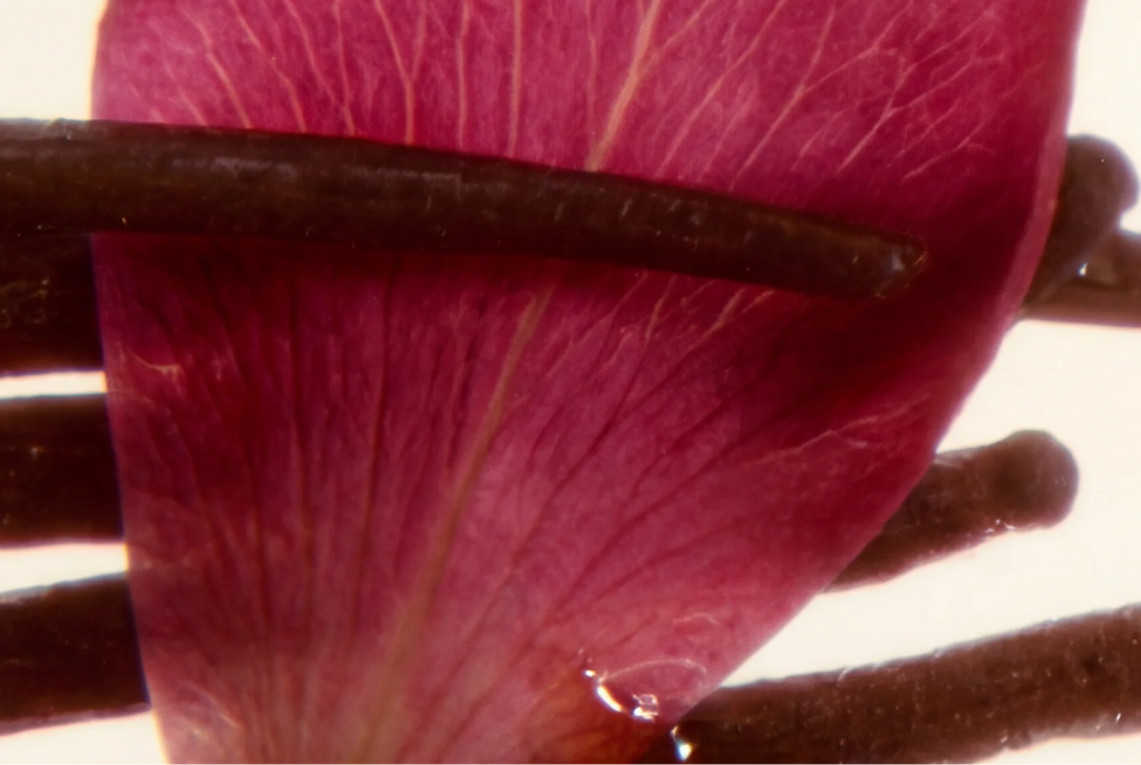 Mille fois – Extrait de parfum