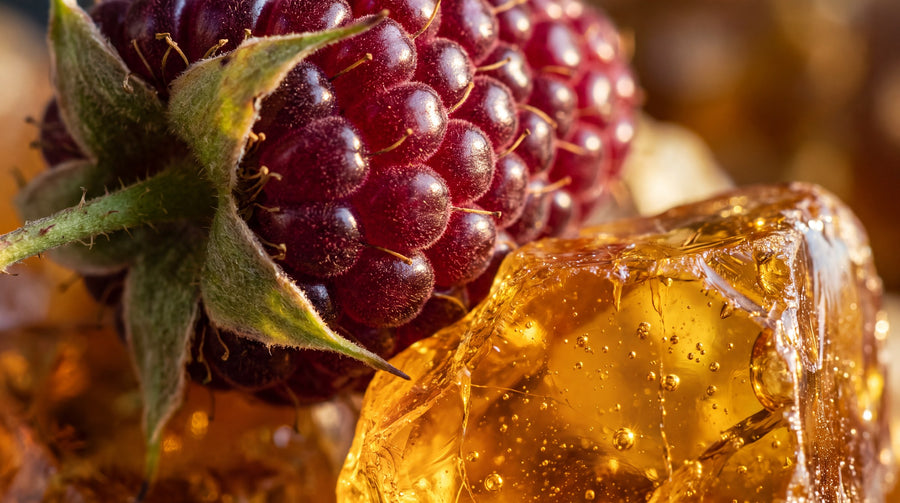 A blackberry resting on raw amber